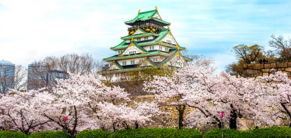 Reasons to Visit Osaka
