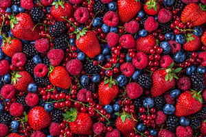 Reasons Why Berries Are Among the Healthiest Foods on Earth
