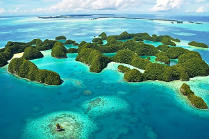 Reasons to Visit Palau