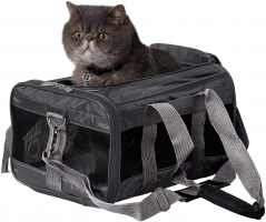 Best Travel Carriers for Dogs and Cats