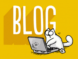 Best Cat Blogs for All Cat Lovers