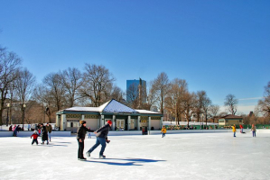 Best Things to Do in Boston in Winter