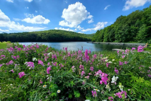 Best Lakes To Visit in West Virginia