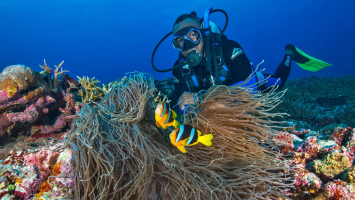 Best Places for Scuba Diving in Vanuatu