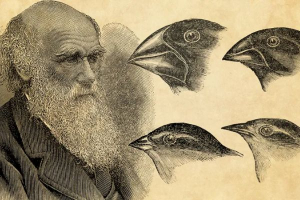 Major Accomplishments of Charles Darwin