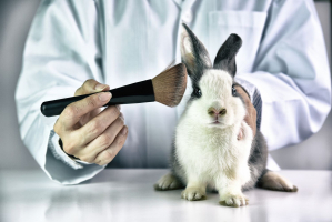 Argumentative Essays on Animal Testing