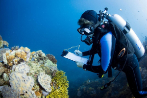 Most Popular Dive Sites In Italy