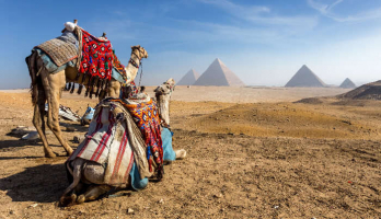 Things About Egypt You Should Know