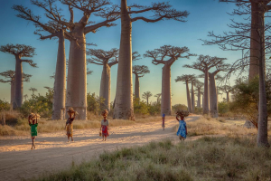Things About Madagascar You Should Know