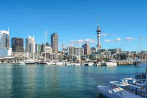 Things About New Zealand You Should Know