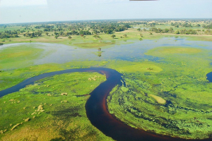 Things to Know about Botswana