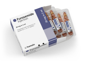 Things to Know About Furosemide