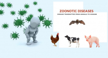 Things to Know About Zoonotic Diseases