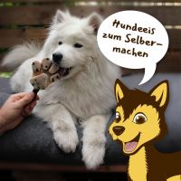 Best German Dog Food Brands