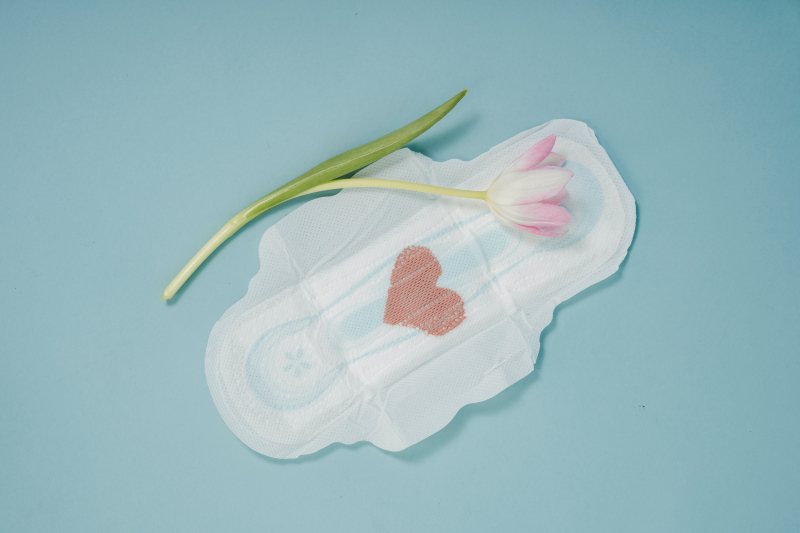 Top 12 Best Sanitary Pads Brands in Europe toplist.info