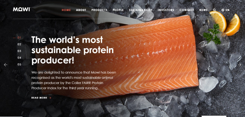 At Mowi, they work with the ocean to create nutritious, delicious and high-quality seafood - Screenshot photo