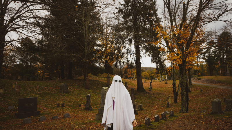 Photo by aiden patrissi on Unsplash: https://unsplash.com/photos/a-ghostly-ghost-in-a-graveyard-with-trees-in-the-background-02P5a0mGVA4