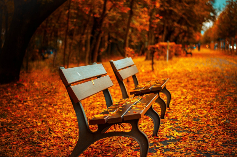 Image by Pepper Mint from Pixabay: https://pixabay.com/photos/benches-autumn-park-rest-sit-560435/