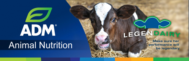 Dairy -  ADM Animal Nutrition