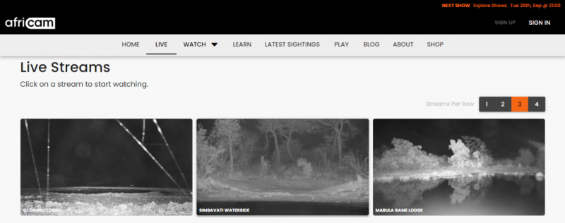 Screenshot of https://africam.com/wildlife/live-african-wildlife-safari-streams