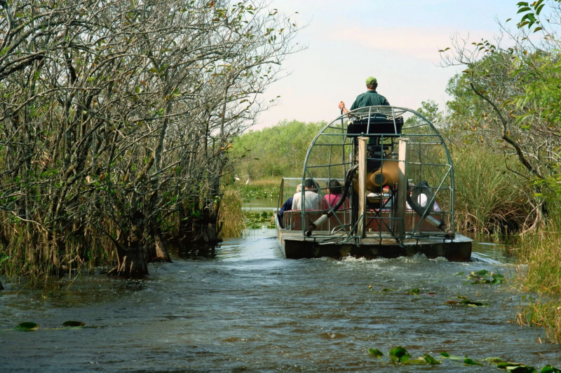 Airboat Adventures – Small Boat Tours