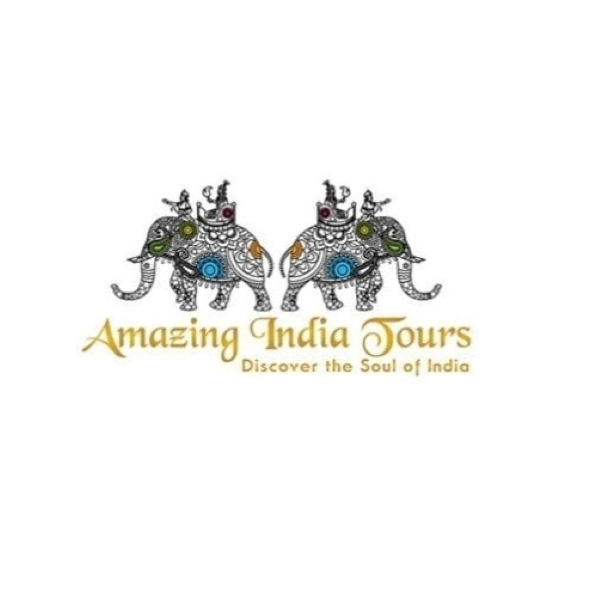 Amazing India Tours Logo. Photo: facebook.com
