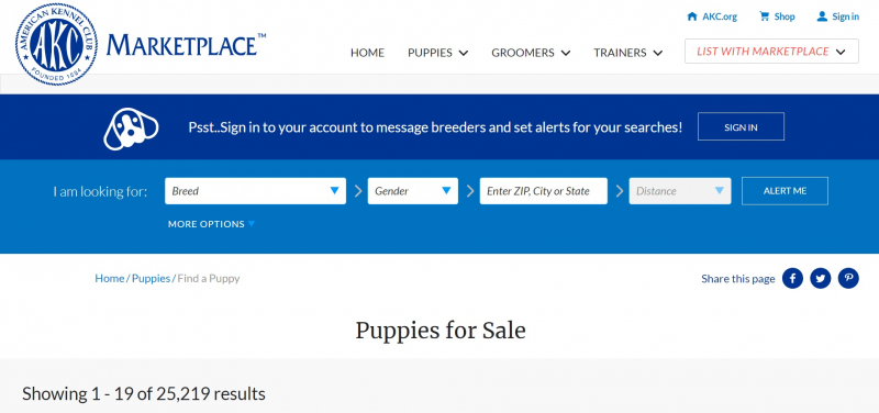 Screenshot of https://marketplace.akc.org/puppies