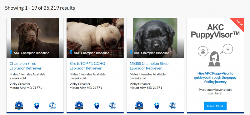Screenshot of https://marketplace.akc.org/puppies