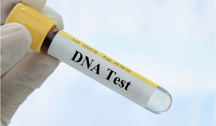 An Ancestry Testing Company is Only as Good as Its Database