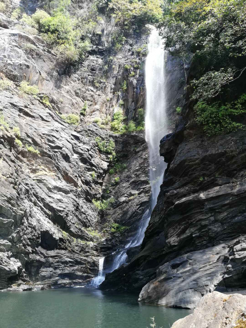 Arasina Makki Falls