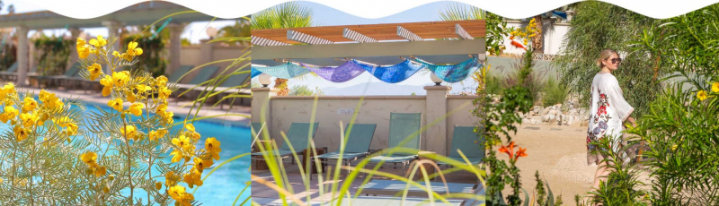 Image by  Azure Palm Hot Springs Resort & Day Spa Oasis via azurepalmhotsprings.com
