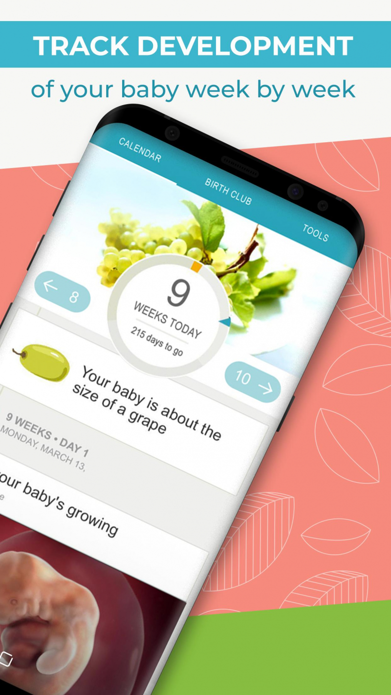 BabyCenter Pregnancy Tracker and Countdown