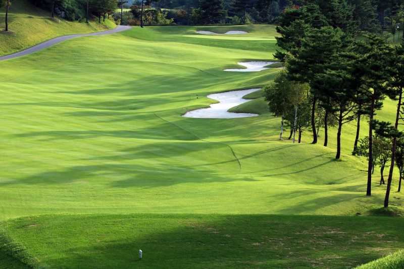 https://pixabay.com/photos/golf-green-field-grass-sports-3683340/