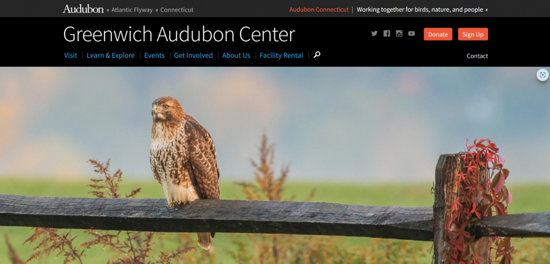 https://greenwich.audubon.org/