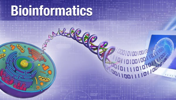 Top 10 Best Books On Bioinformatics - Toplist.info