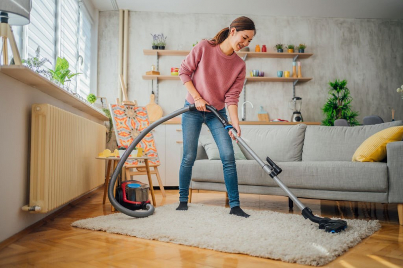 Top 10 Best British Vacuum Cleaner Brands toplist.info