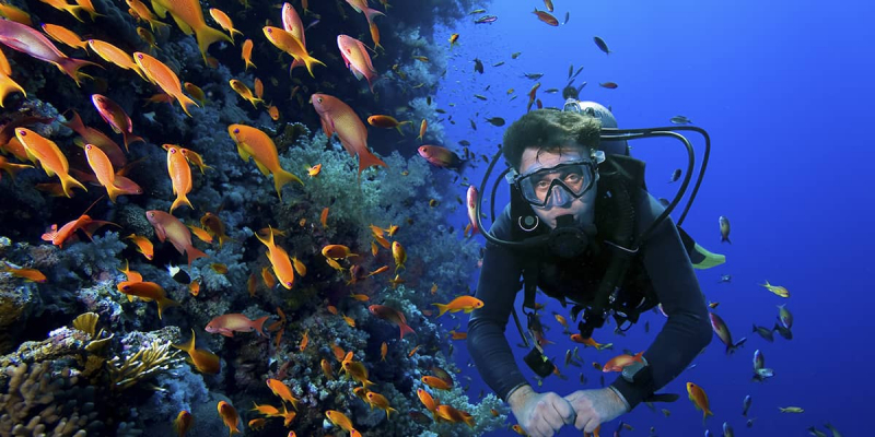 Top 6 Best Dive Sites in Nicaragua - toplist.info