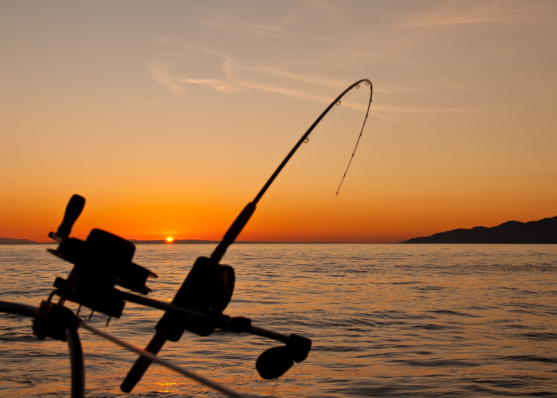 Top 10 Best Fishing Reel Brands For Saltwater - toplist.info