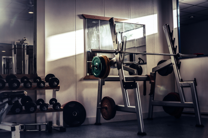 Top 11 Best Gym Equipment Brands in India toplist.info