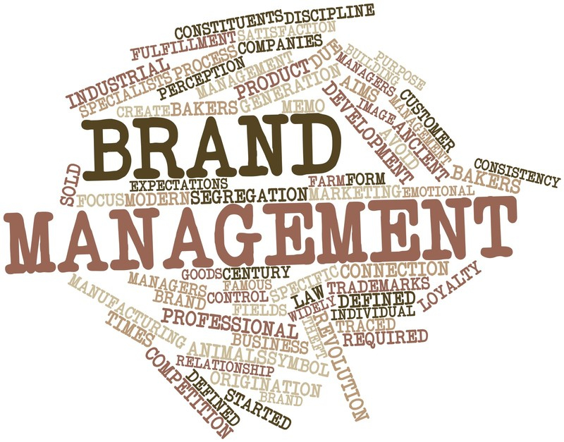 Top 8 Best Online Brand Management Courses 7211