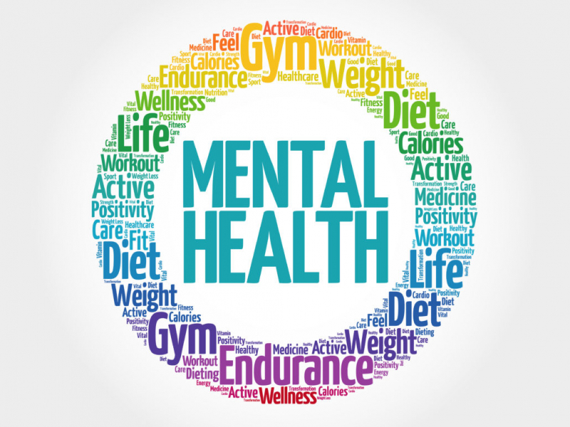 Top 4 Best Online Mental Health Courses - Toplist.info