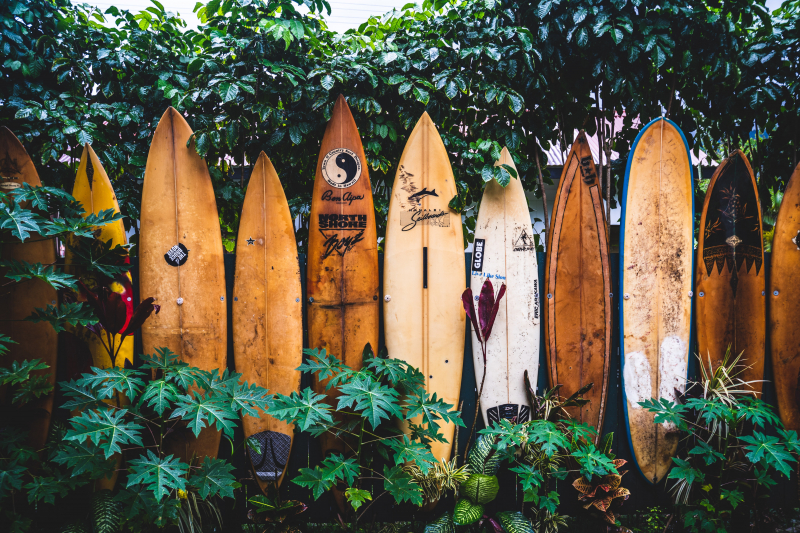 Top 10 Best Surfboard Brands toplist.info