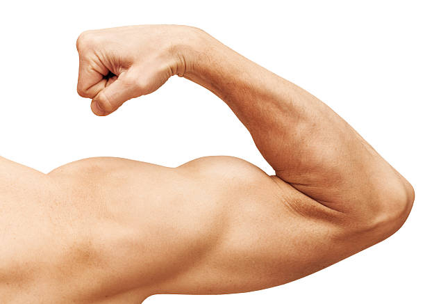 Boost muscle mass