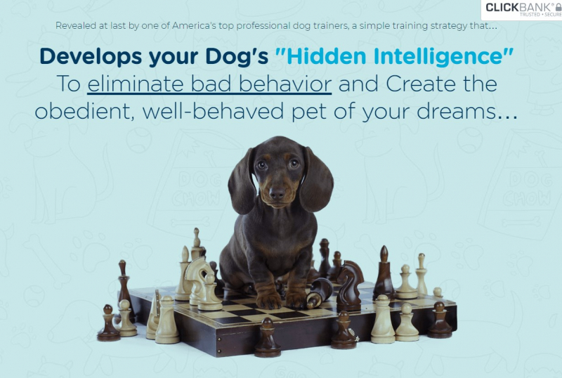 Screenshot of braintraining4dogs.com