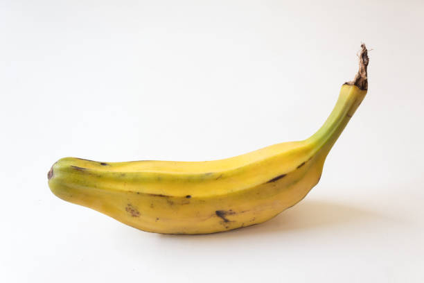 Burro bananas