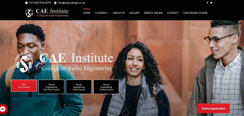CAE Institute  website