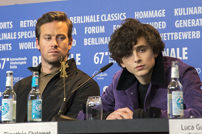 Photo on Wiki: https://commons.wikimedia.org/wiki/File:Hammer_and_Chalamet_at_Berlinale_2017.jpg