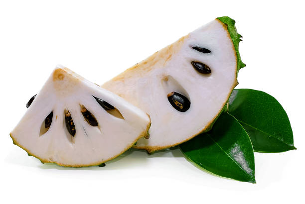 Can Help Fight Bacteria