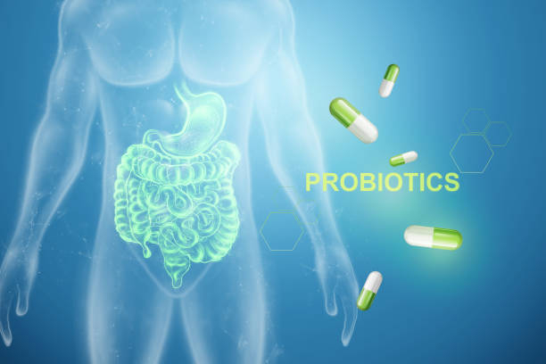 Help Balance The Friendly Bacteria in Your Digestive System