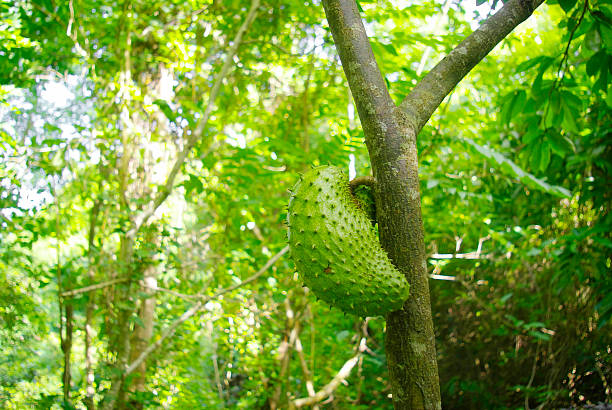 Can Help Manage Diabetes